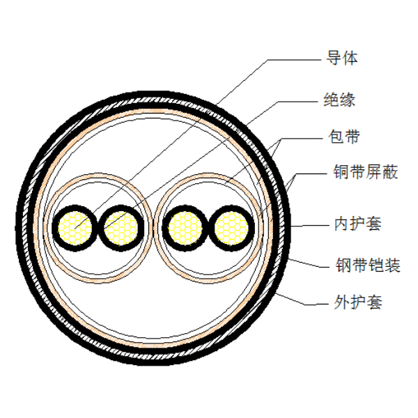 銅芯聚乙烯絕緣銅帶繞包分總屏蔽 鋼帶鎧裝聚氯乙烯護(hù)套計算機(jī)電纜-DJYP2VP2-22-300/500V