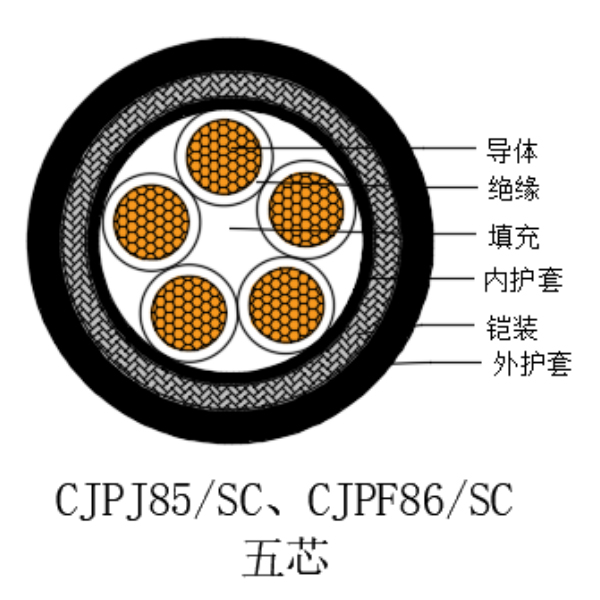 銅芯交聯(lián)聚乙烯絕緣低煙無(wú)鹵船用電力電纜-CJPJ85/SC-0.6/1kV、CJPF86/SC-0.6/1kV